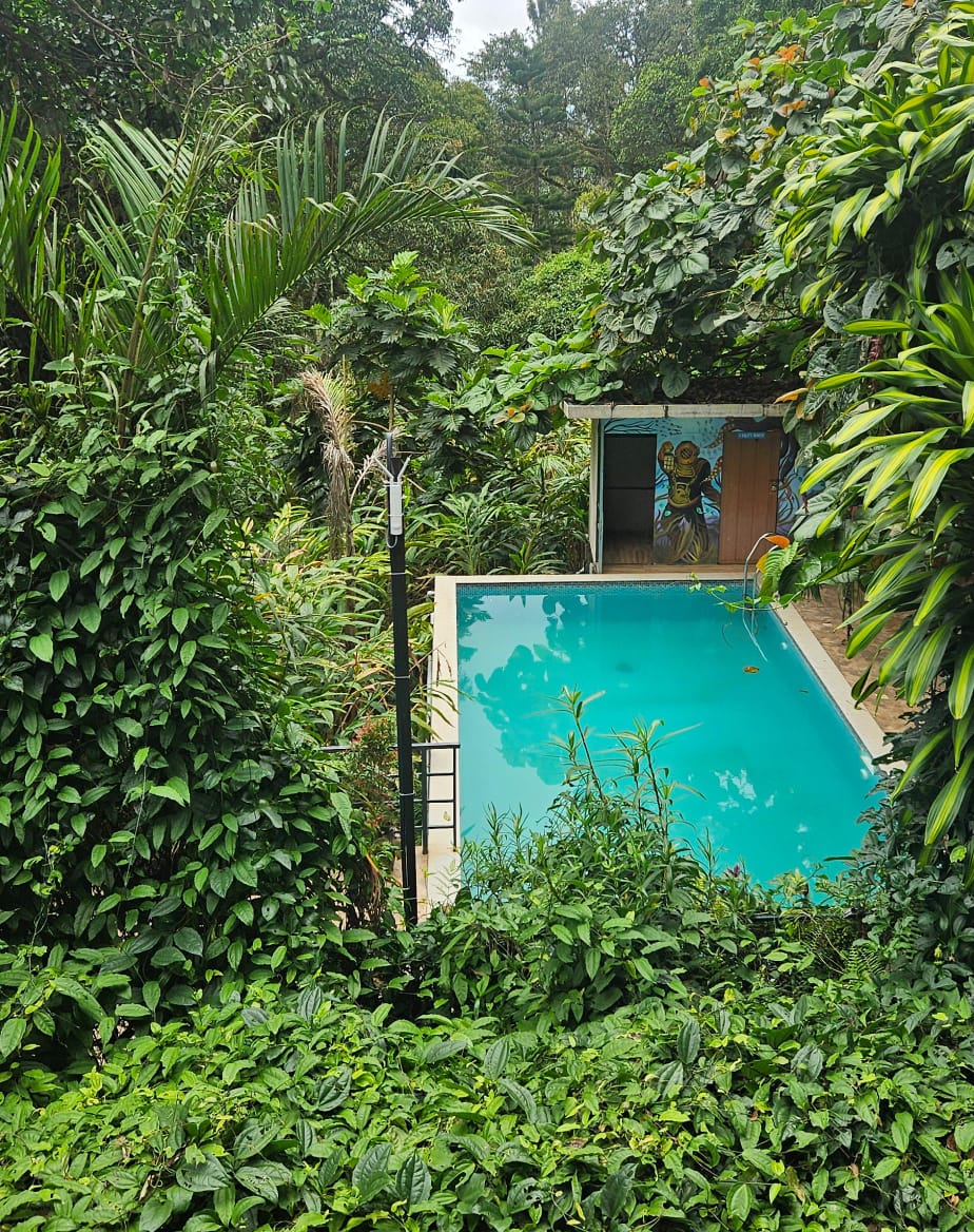Jungle Stay with Pool